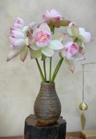20-cm---60k-